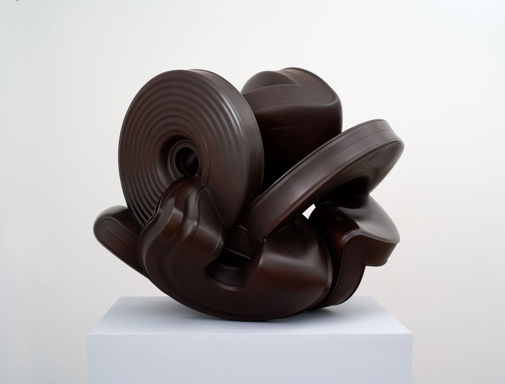 Tony Cragg Cubic Early Form, 2011