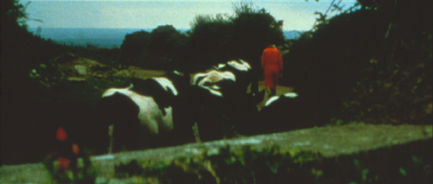 Tacita Dean Banewl, 1999