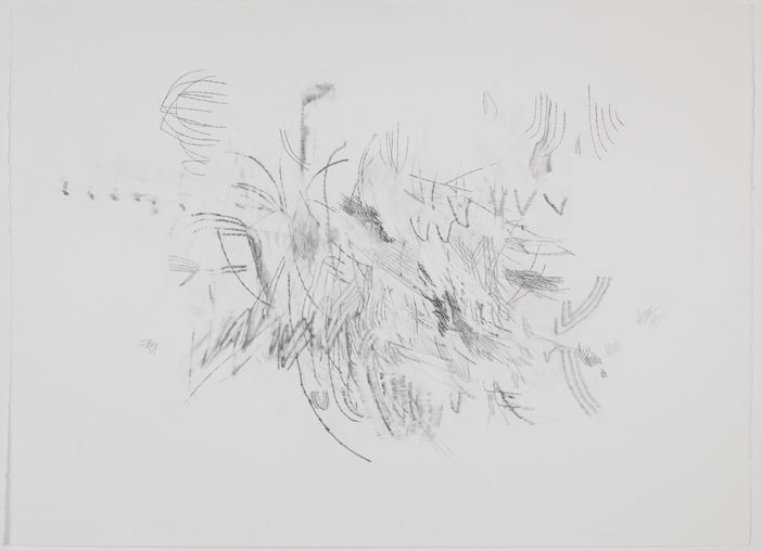 Julie Mehretu Mind Breath Drawing, 2012