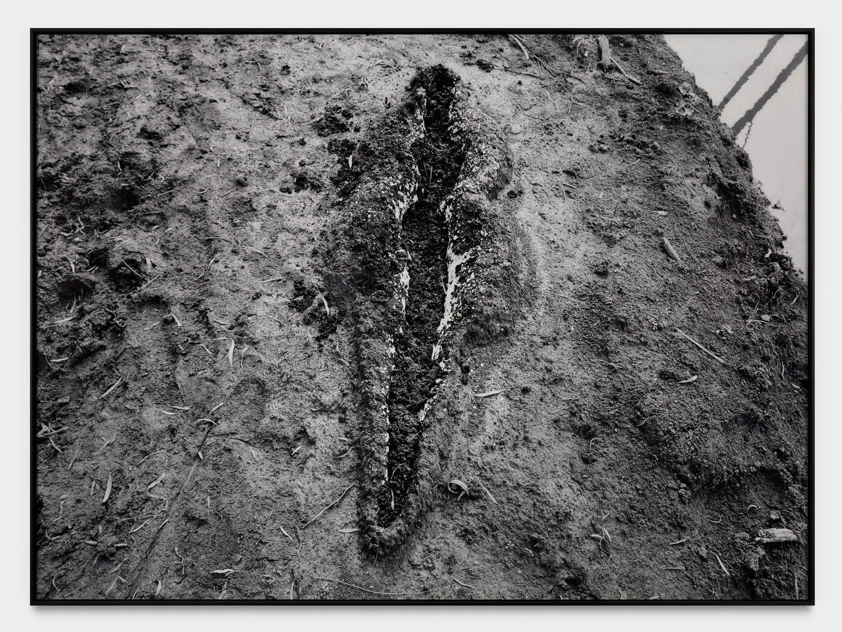 Ana Mendieta Black Venus, 1980 Black and white photograph Photo: 39 1/4 x 53 3/4 in. (99.7 x 136.5 cm)...