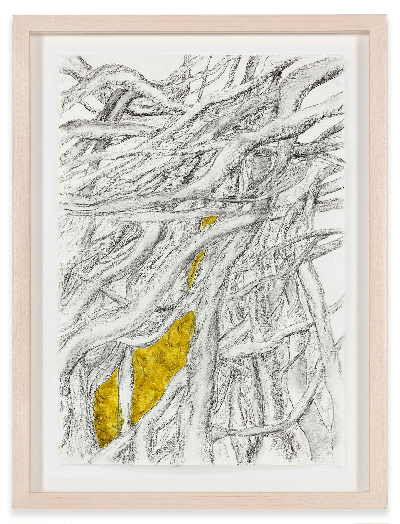 Cristina Iglesias Study for Entwined Growth V, 2016-2017 Charcoal and lacquer on paper Paper: 36 3/4 x 25 1/2 in....