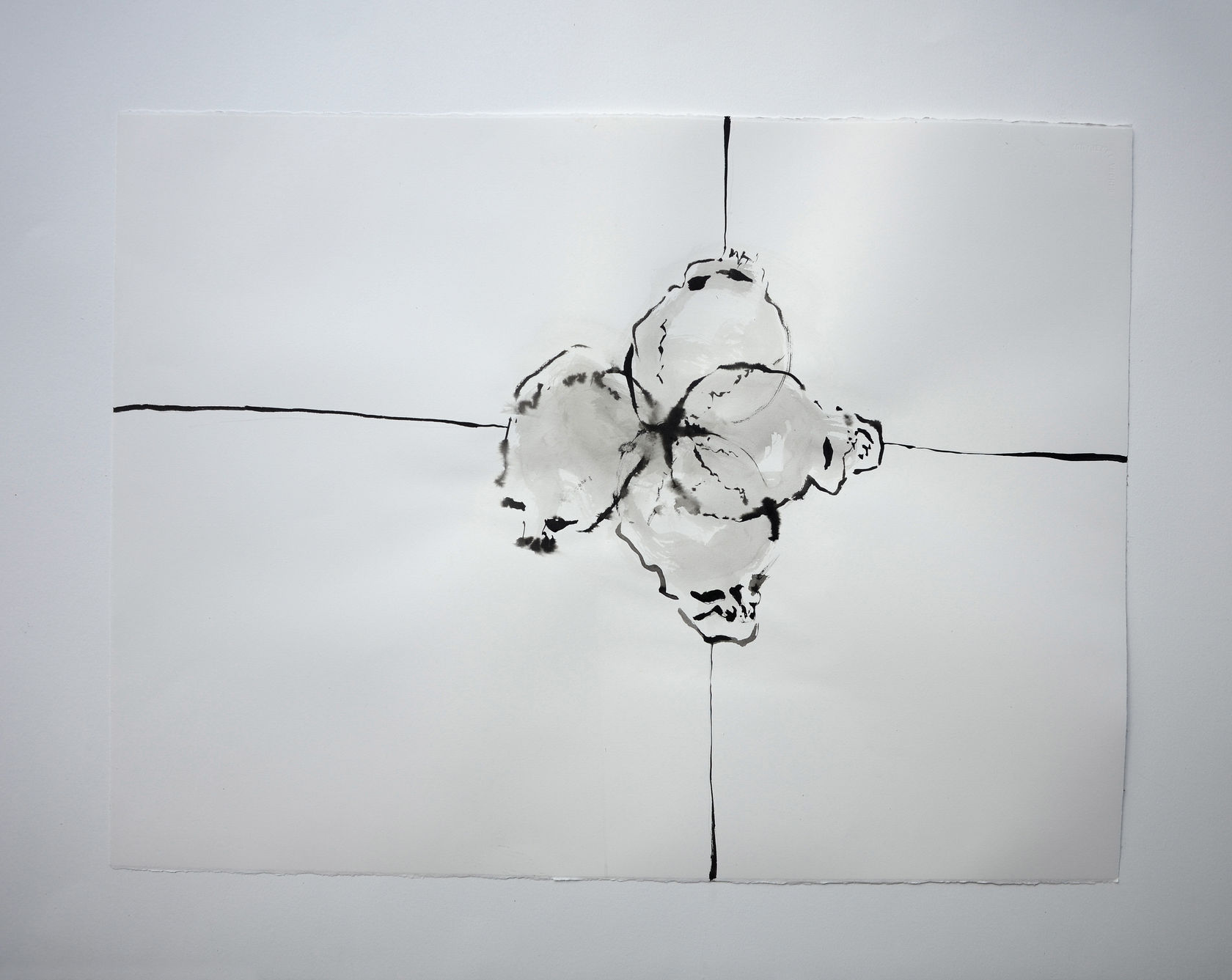 Annette Messager 4 crânes, 2023 Acrylic on paper 22 1/2 x 29 7/8 in. (57 x 76 cm)