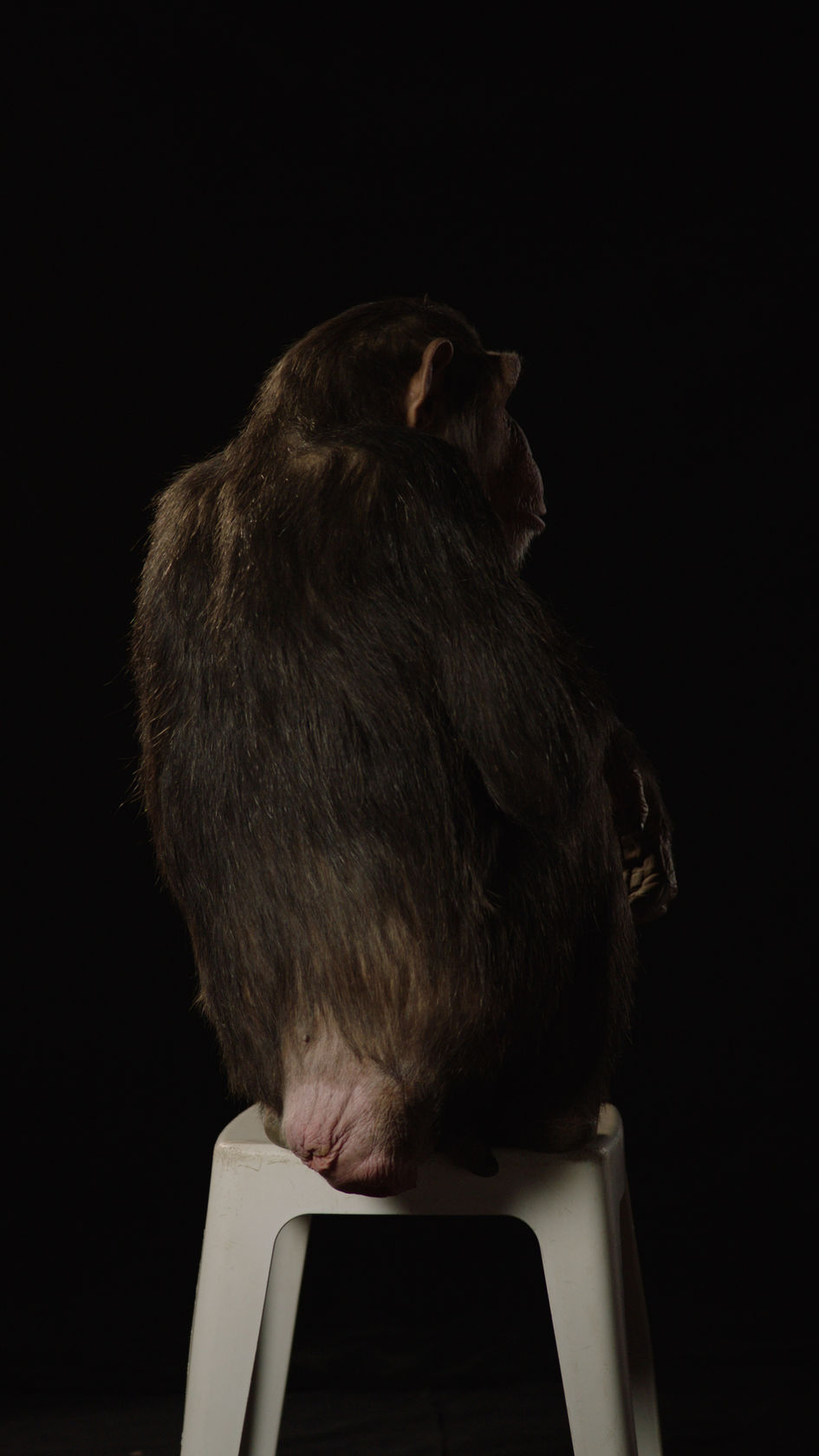 Eija-Liisa Ahtila Potentiallity for Love, 2018