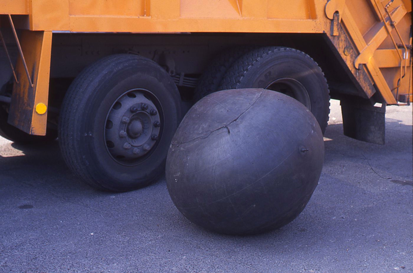 Gabriel Orozco Recaptured Nature (Naturaleza recuperada), 1990