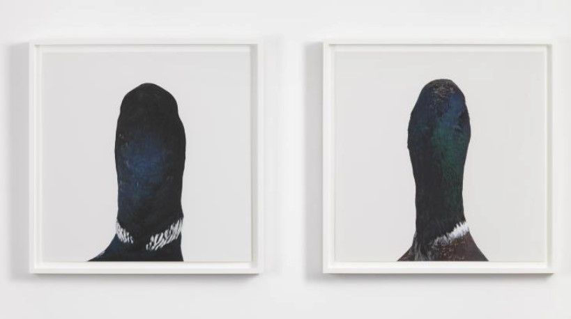 Roni Horn Untitled, No. 14, 1998/2007