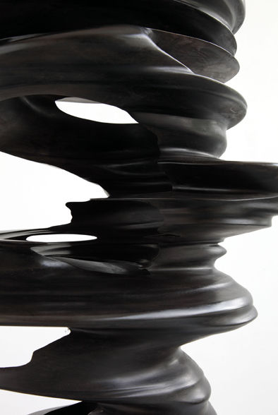 Tony Cragg Hollow Head,, 2008