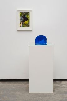 Marine Hugonnier Anima(L), 2014