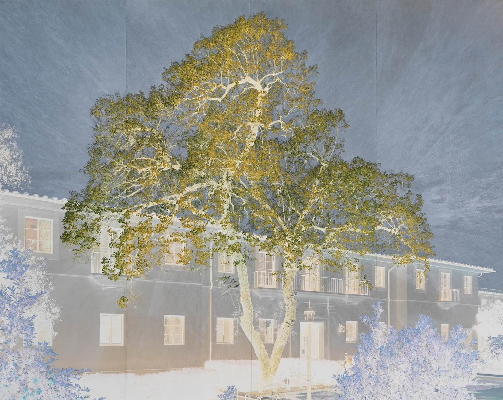 Tacita Dean Purgatory (3rd Cornice), 2021 Colored pencil on Fuji Velvet paper mounted on paper 143 1/4 x 172 1/4...