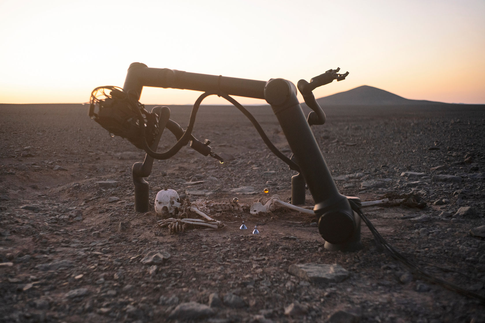 Pierre Huyghe Camata II, 2024 Photograph Image: 25 1/4 x 37 3/4 in. (64 x 96 cm) Frame: 30 1/4...