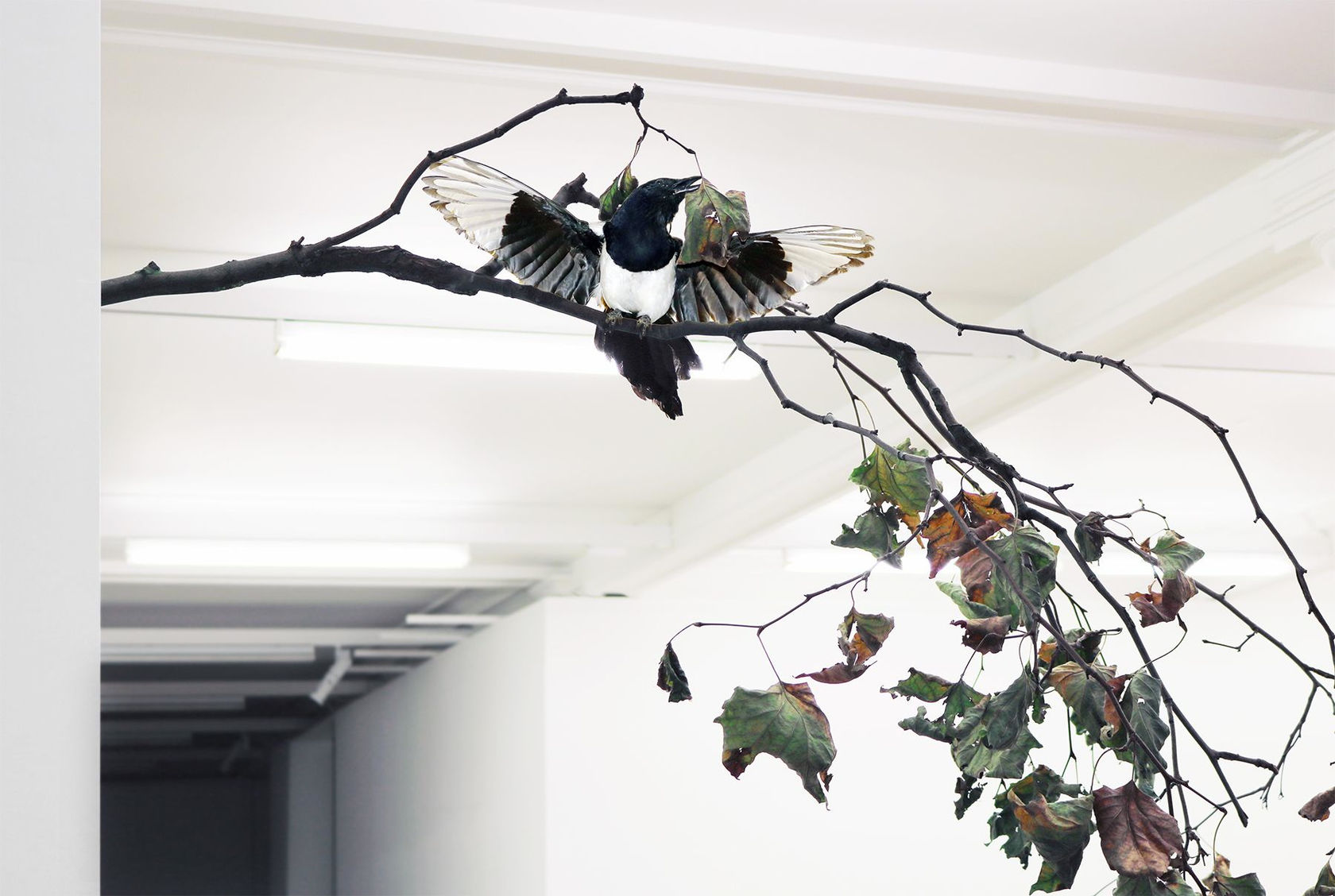 Cerith Wyn Evans Please Pay Attention Motherfucker, 2006