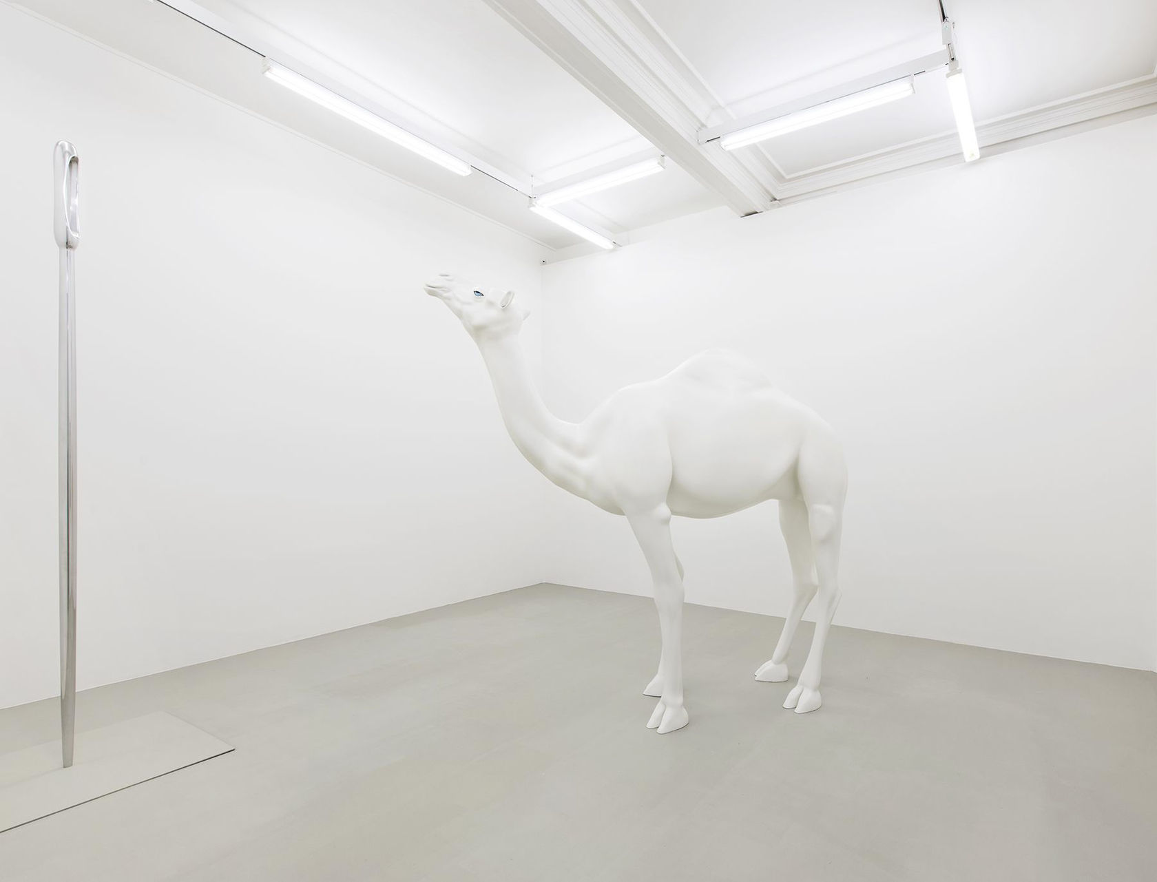 John Baldessari Camel (Albino) Contemporary Needle (Large), 2013