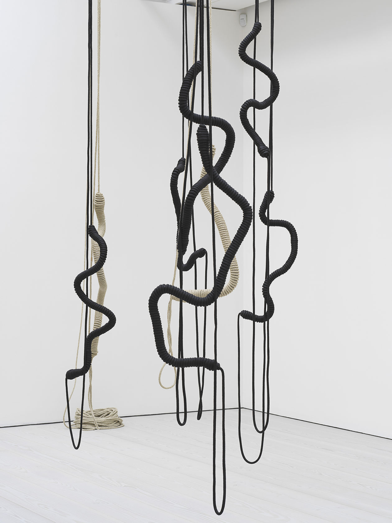 Leonor Antunes alterated knot, 2018