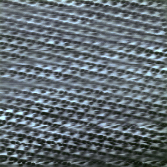 Gerhard Richter 885-4 Silicate (Silikat), 2003