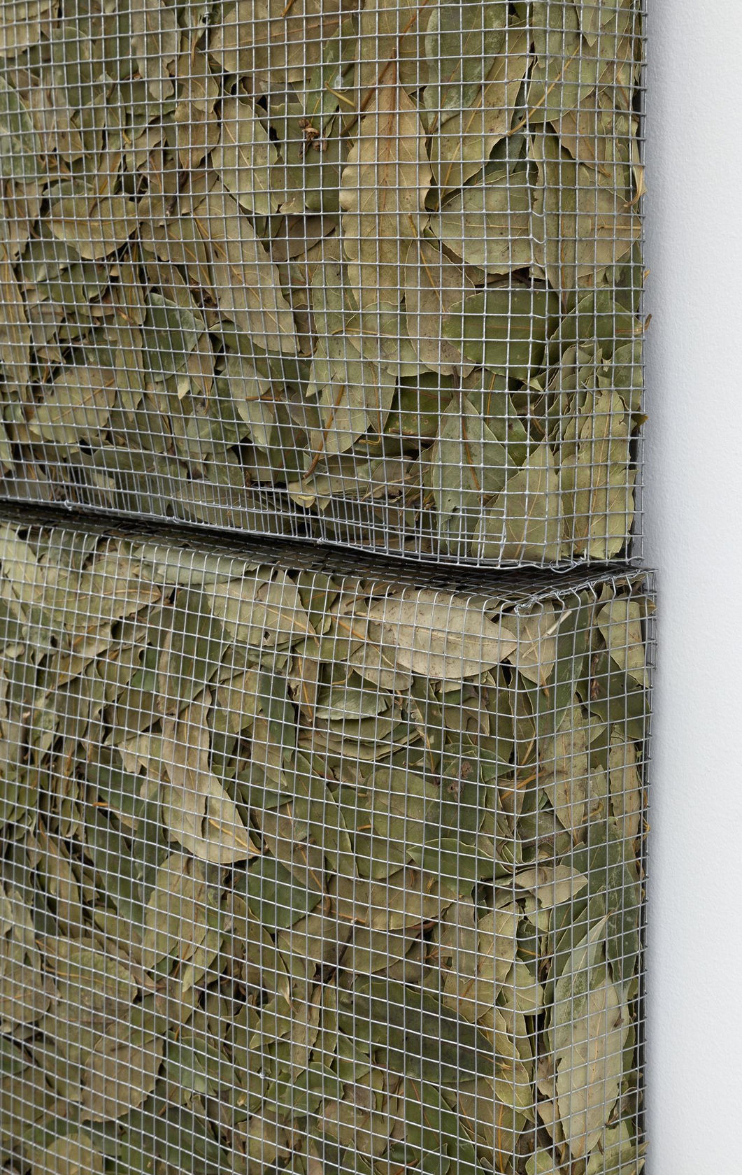 Giuseppe Penone Respirare L'ombra, 2008 Metallic wire, laurel leaves, bronze, terra cotta, variable elements 46 1/6 x 30 11/16 in....