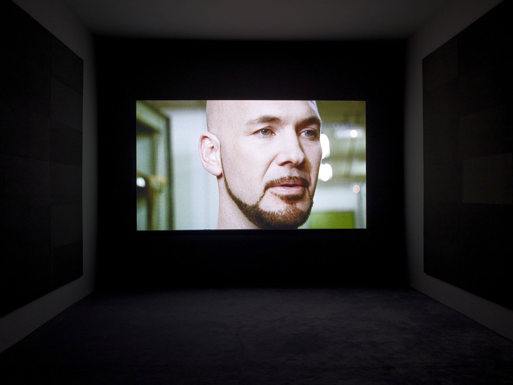 Jennifer Allora and Guillermo Calzadilla Apotome, 2013