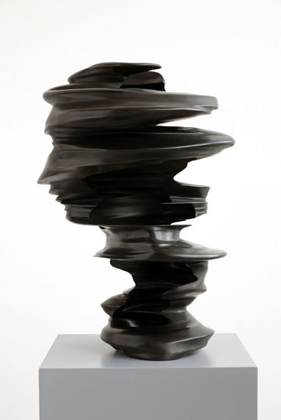 Tony Cragg Hollow Head,, 2008