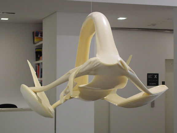 Gabriel Orozco Arch Stream, 2003