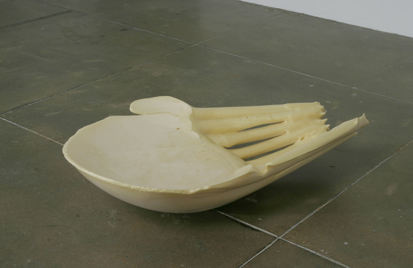 Gabriel Orozco Organ Shell, 2003