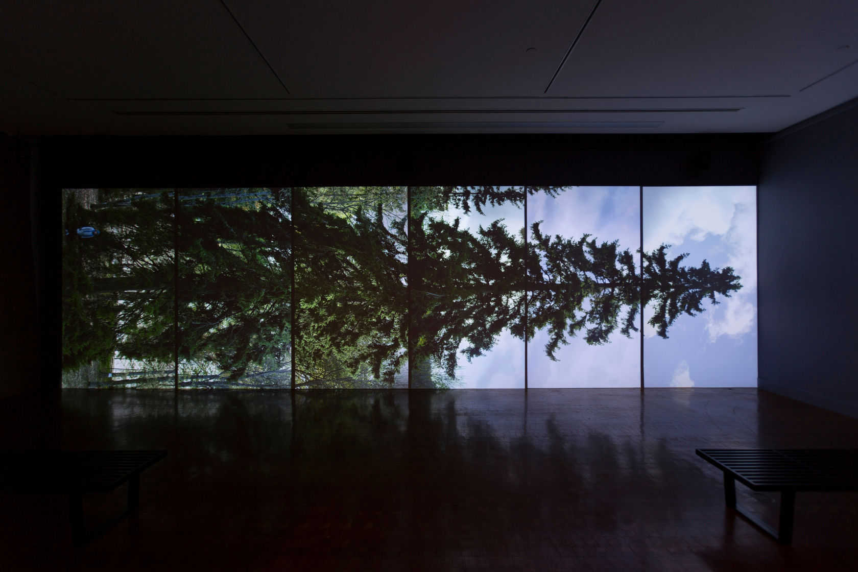 Eija-Liisa Ahtila Horizontal - Vaakasuora, 2011