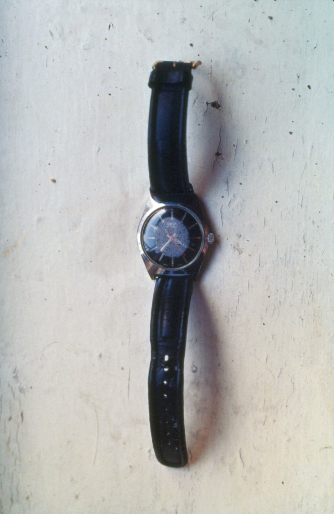 Gabriel Orozco Wet Watch (Reloj humedo), 1993