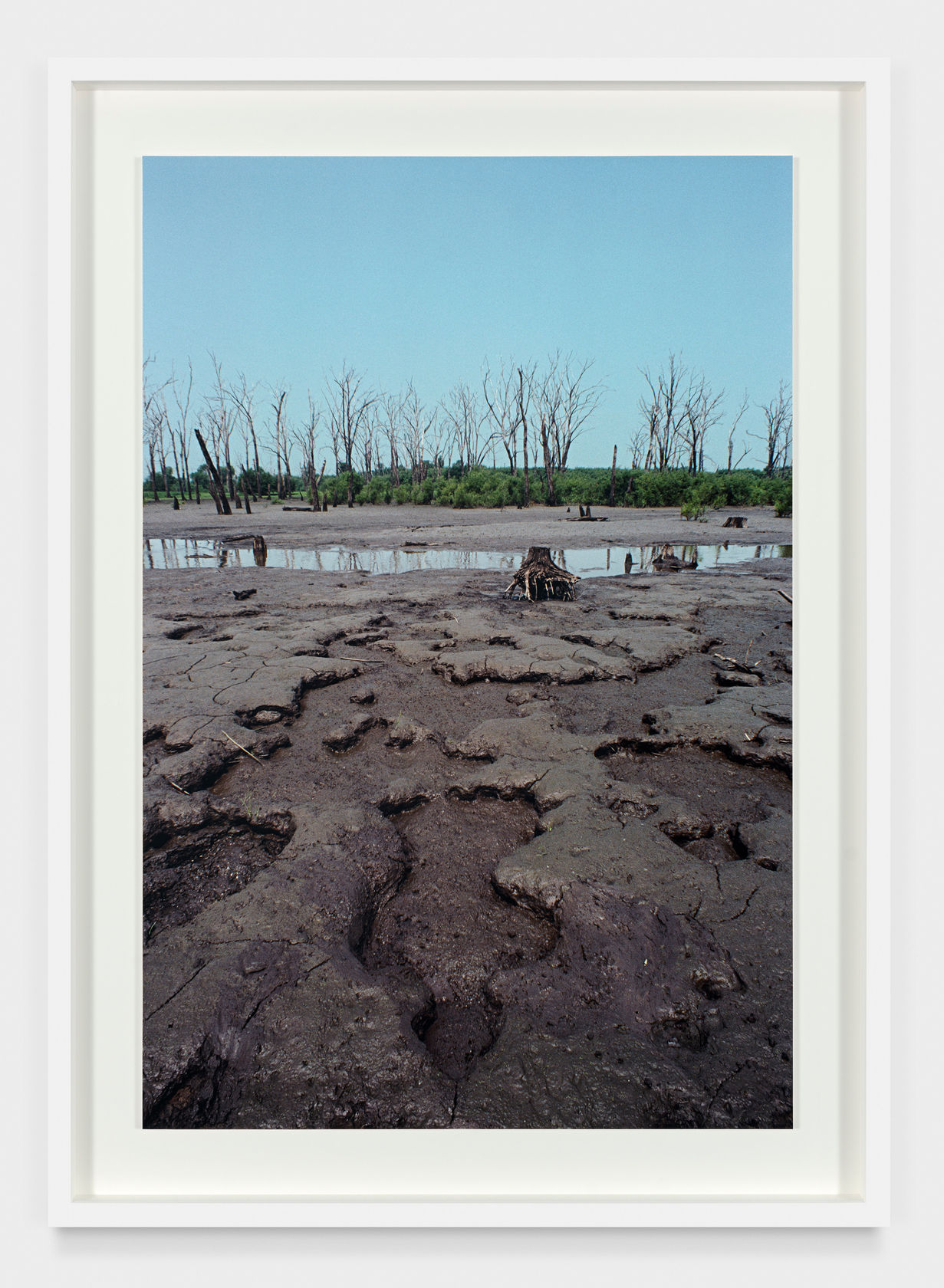 Ana Mendieta Untitled: Silueta Series, 1979 C-print 30 x 20 in. (76.2 x 50.8 cm) Edition of 12 plus 3...