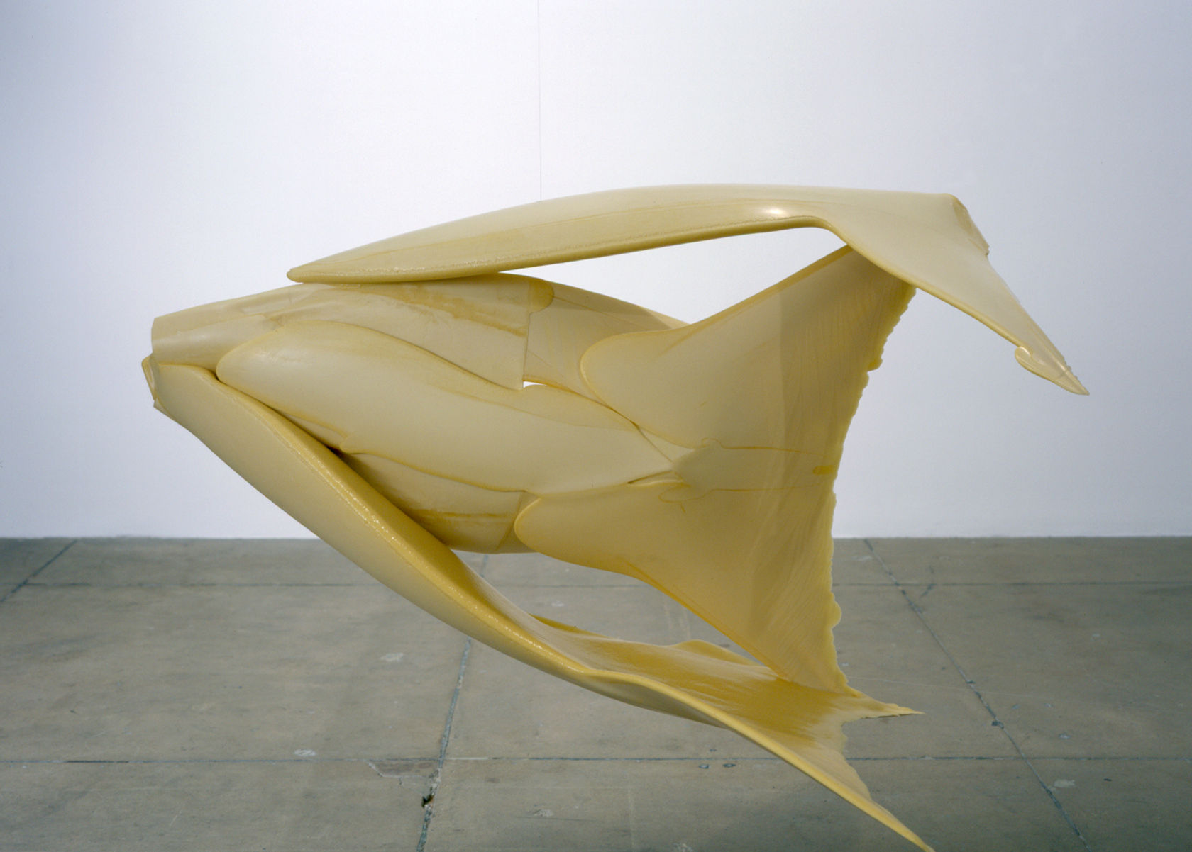 Gabriel Orozco Double Cut, 2003