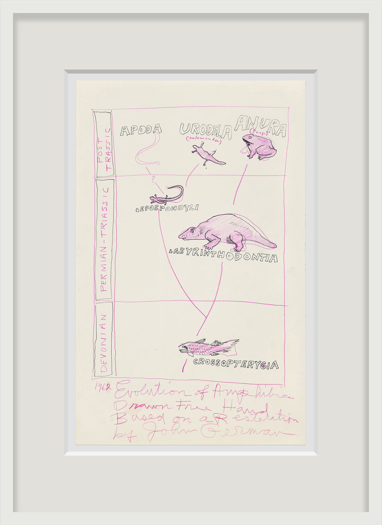 Robert Smithson Evolution of Amphibians, 1962
