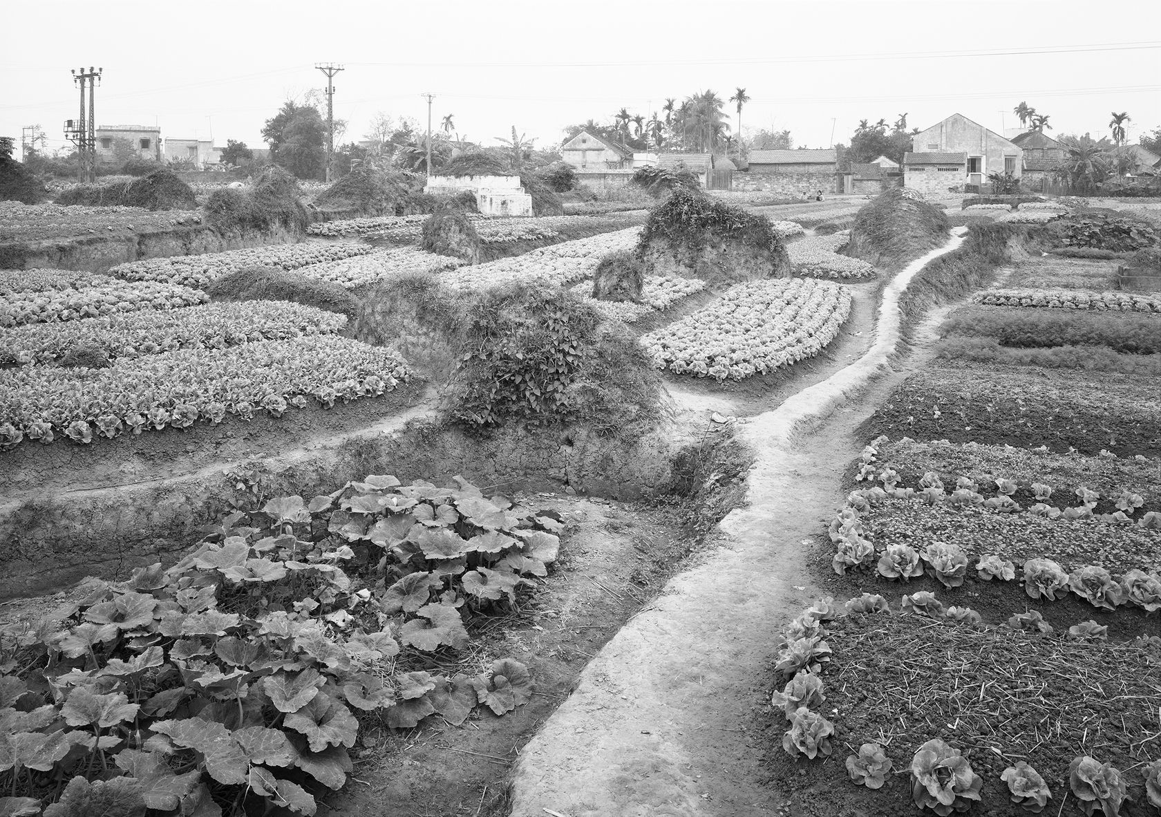 An-My Lê Untitled, Son Tay, Viêt Nam, 1998