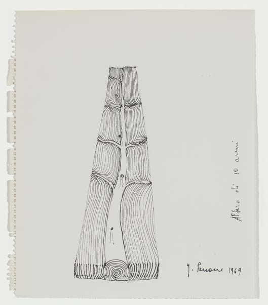 Giuseppe Penone Albero di 10 anni, 1969