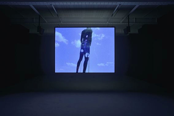 Steve McQueen Ashes, 2002-2015