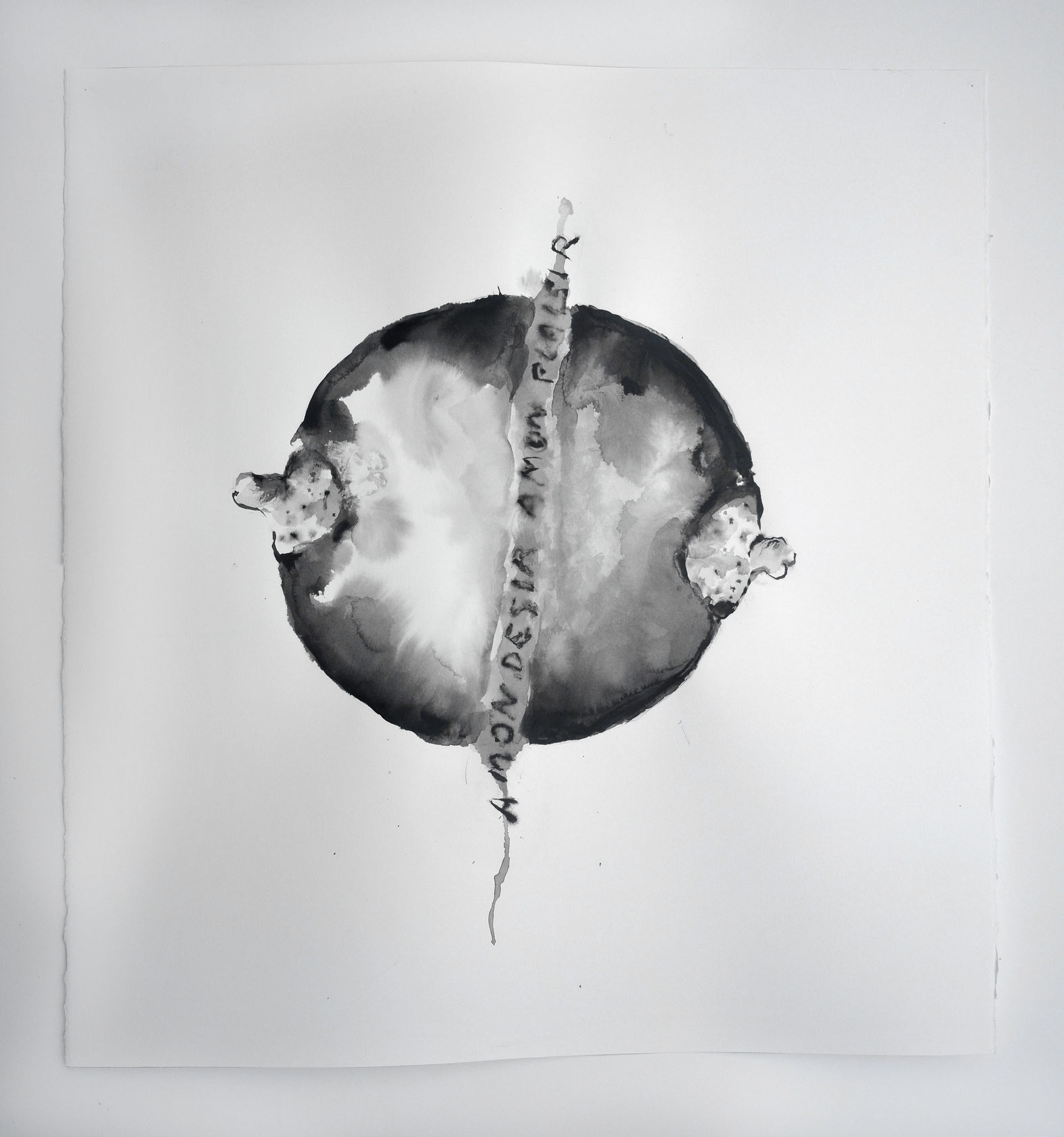 Annette Messager A mon désir...plaisir, 2017 Acrylic on paper 24 3/8 x 22 1/2 in. (62 x 57 cm)