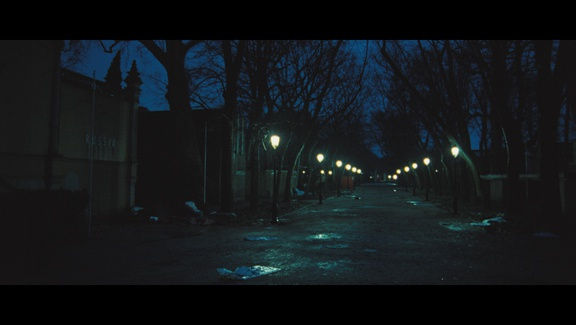 Street lamps and trees line an empty, dark street at night; the sky is dark turquoise. 