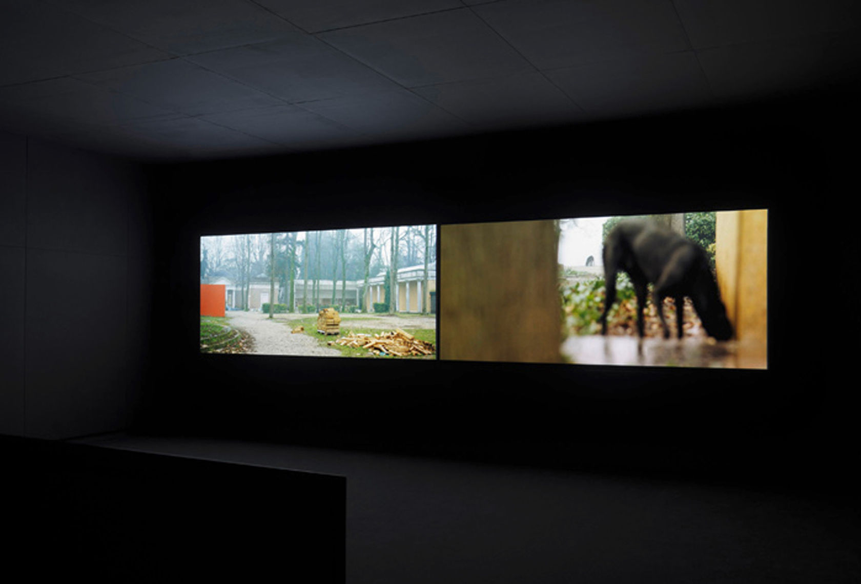 2 projections sit horizontally in a dark theater. On the left, a building with columns sits back among the trees. On the right, a black dog is in the foreground, face indistinct. 