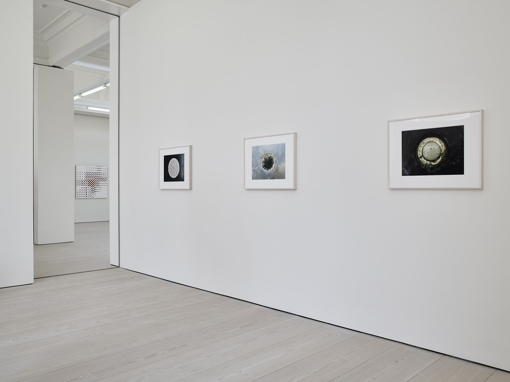 An exhibition installation view from: Gabriel Orozco