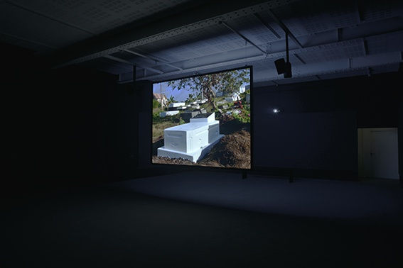 An exhibition installation view from: Steve MᶜQueen