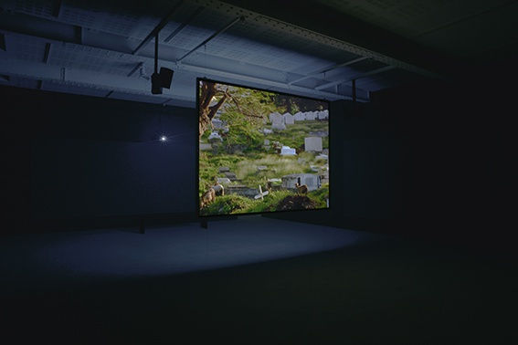 An exhibition installation view from: Steve MᶜQueen