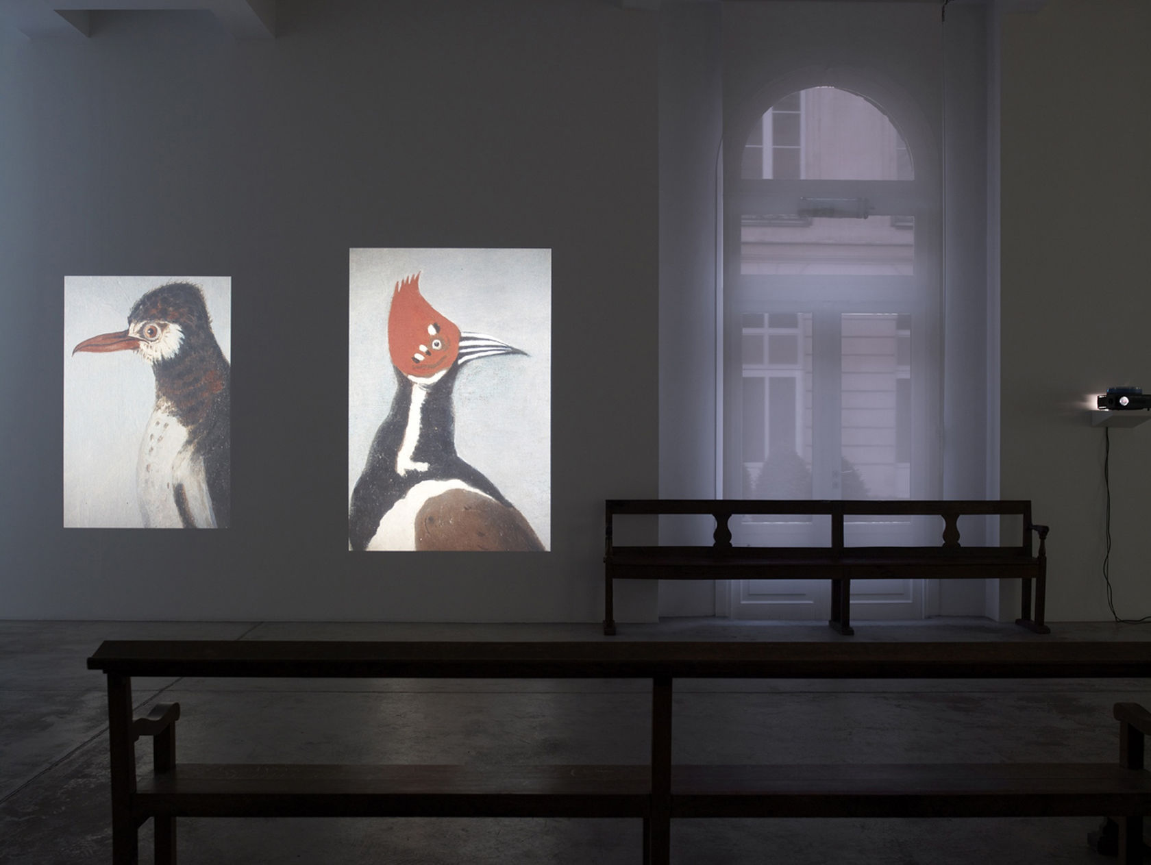 An exhibition installation view from: Lothar Baumgarten