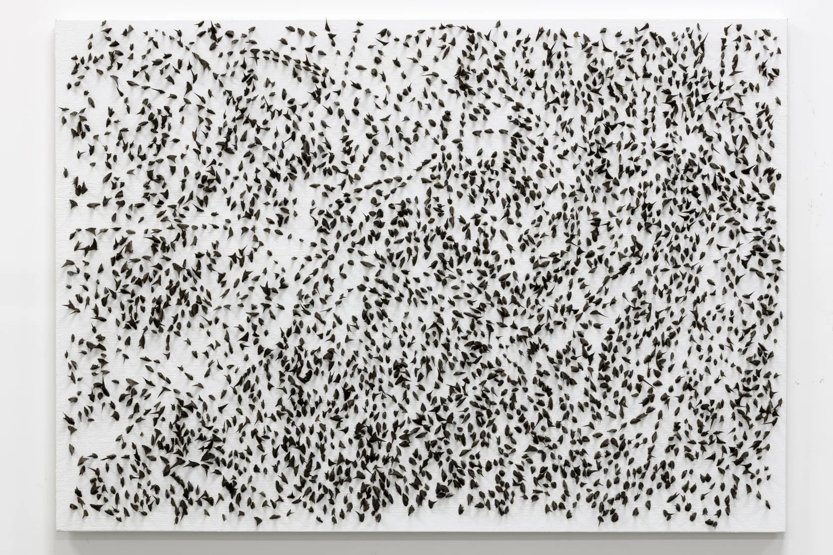 A thorn-like black texture creates a pattern on a white canvas