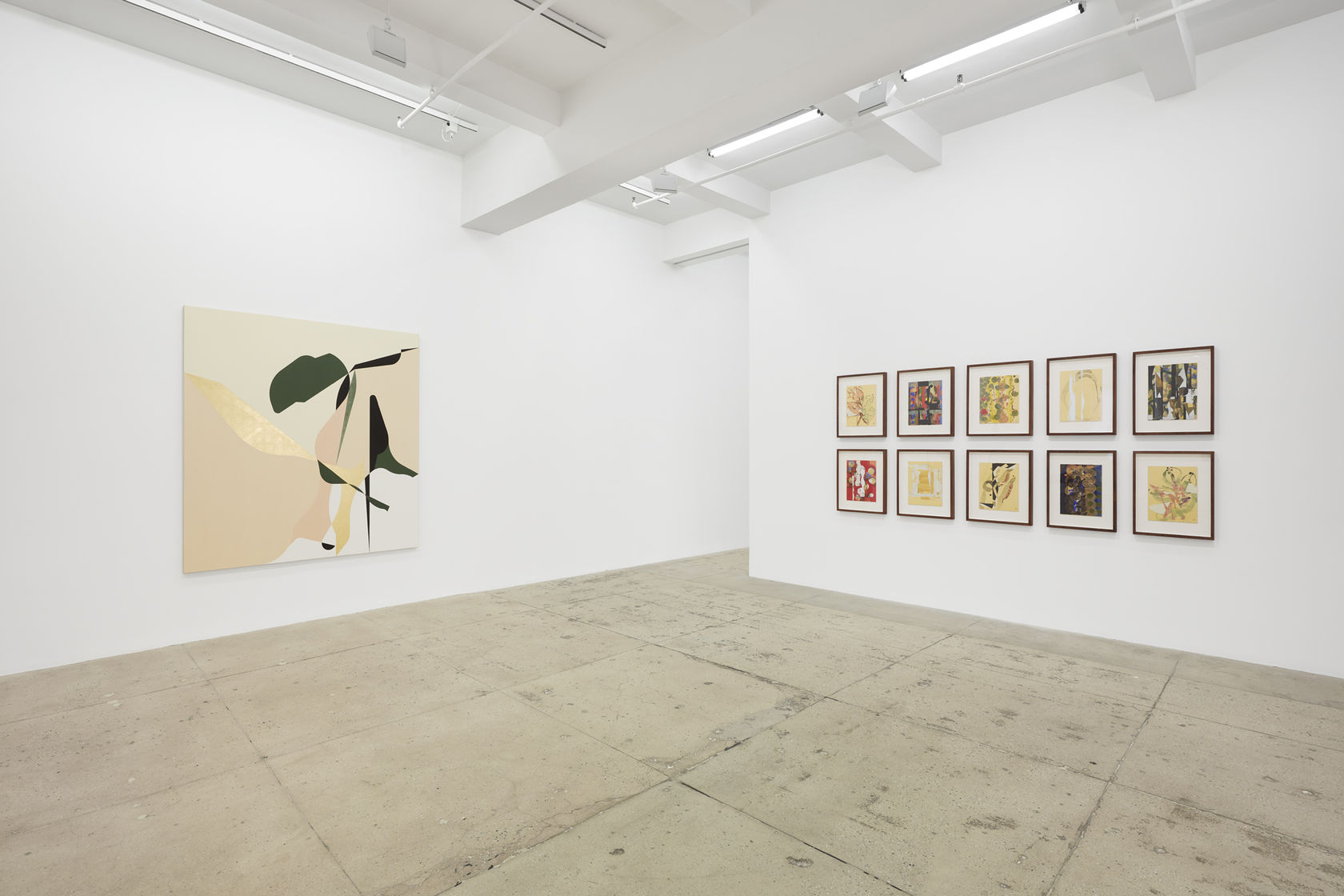 Installation view, Gabriel Orozco, New York