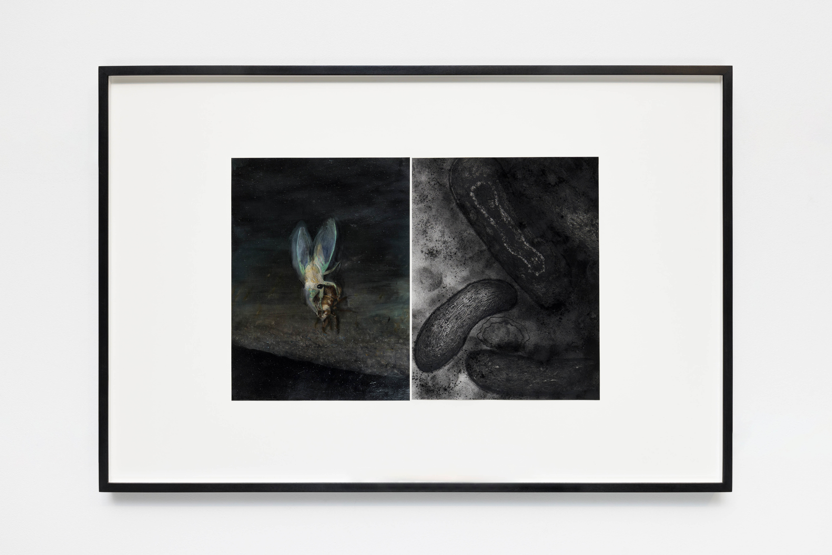 Philippe Parreno, 100 Questions, 50 Lies (A Recital of True Events), 2023