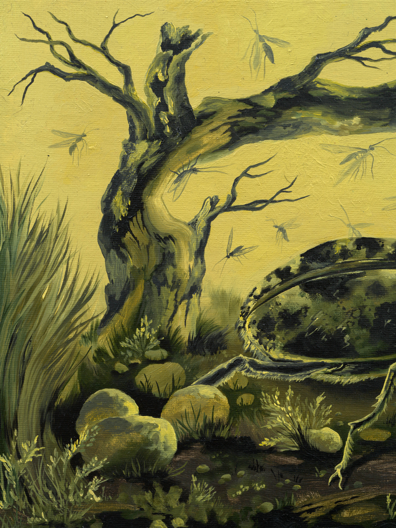 Kat Lyons Season of the Beetle2025 Oil on canvas Custom Frame: Dirt dyed muslin and acrylic paint 47.6 x 57.8...