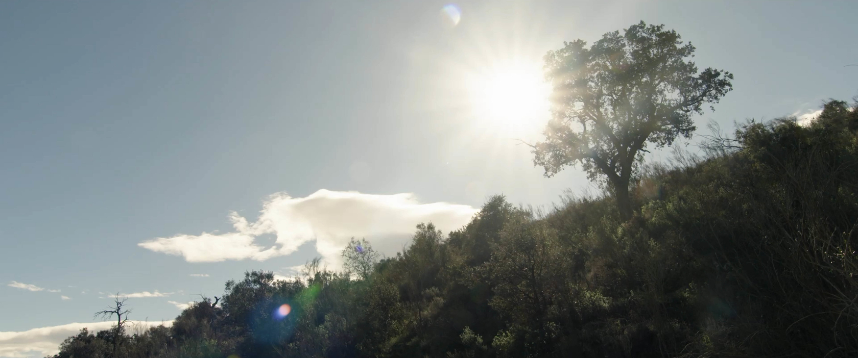 Philippe Parreno El Almendral2024 11 plots of land representing 30 hectares, heliostat, cloud catchers, weather stations, portable cabin, water tank,...