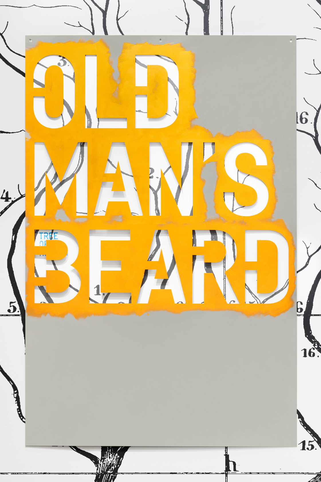 Rirkrit Tiravanija untitled 2023 (invasives) (old man's beard)2023 Mirror-polished stainless steel, paint 148.5 x 99 cm 58 1/2 x 39...