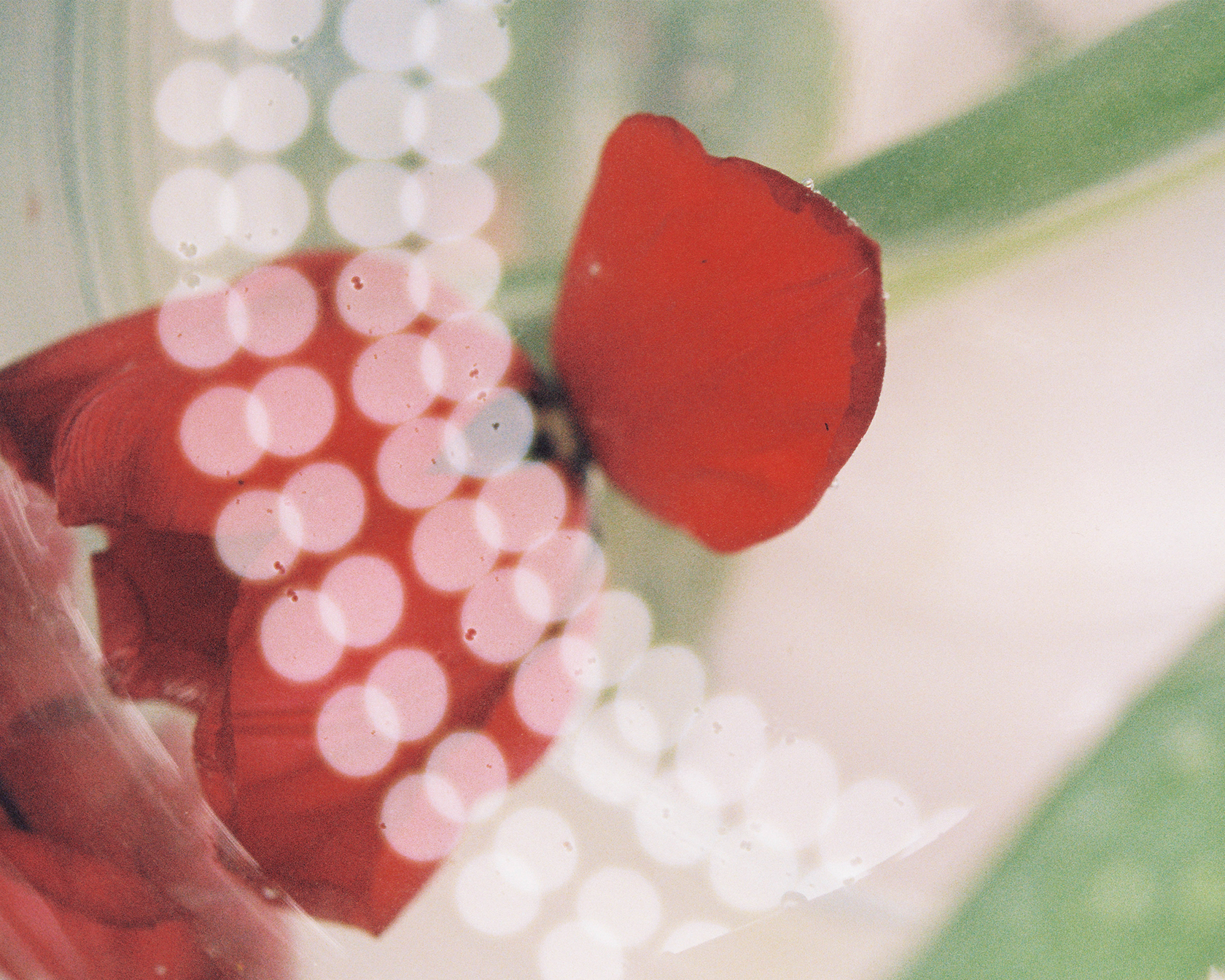 Rachel Rose, The Last Day, 2023