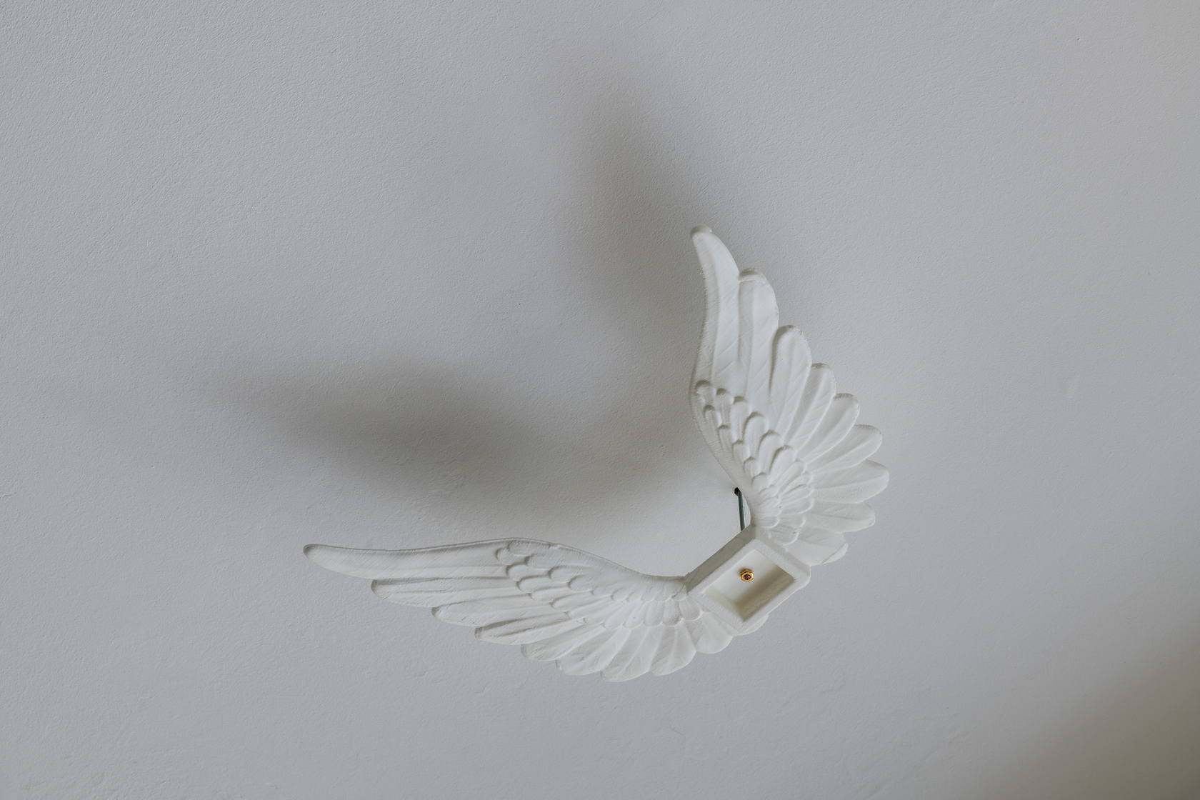 Ken Okiishi, Wings, 2018