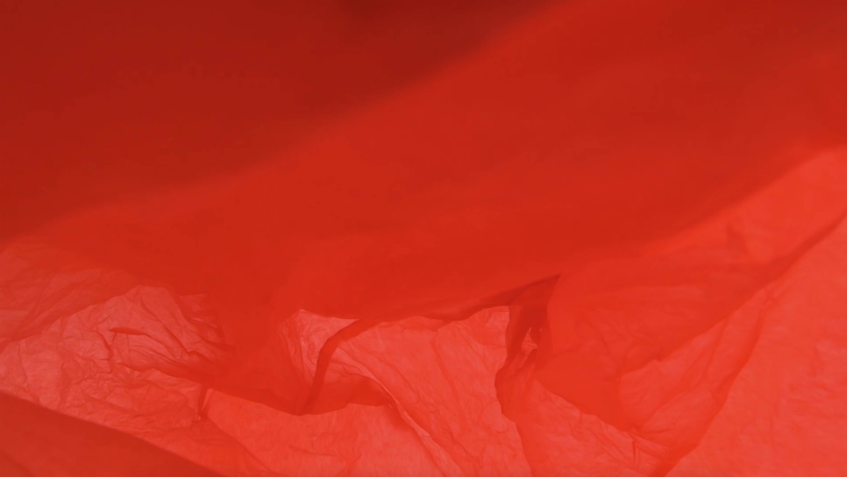 Rachel Rose Palisades in Palisades2014 HD Video 10’29”