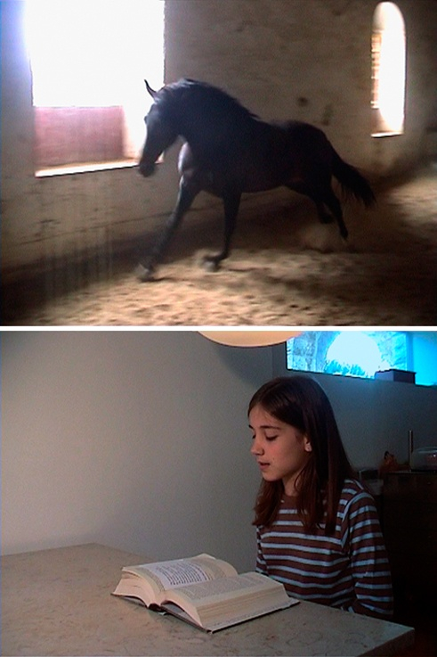 Julião Sarmento, Toile, 2006