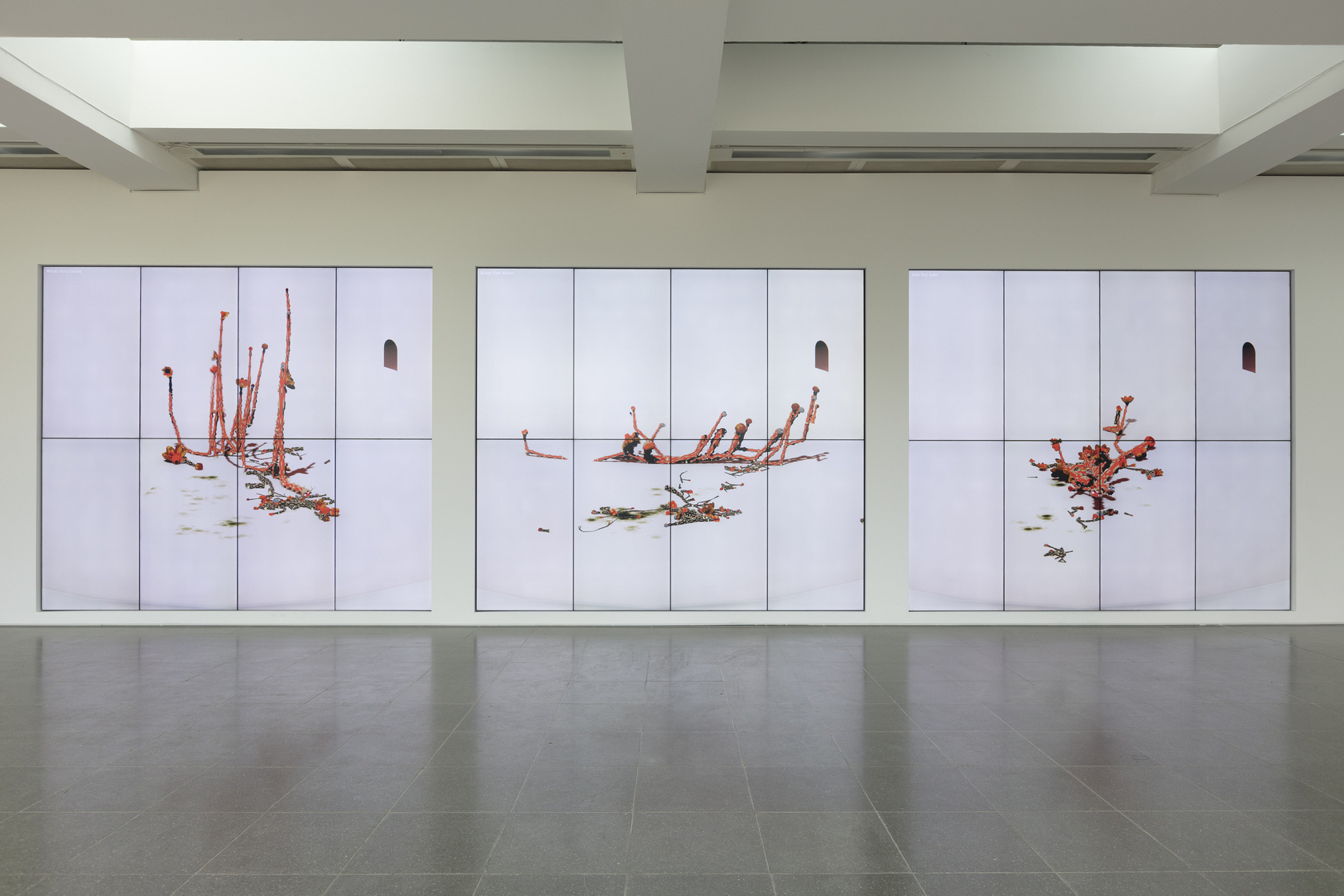 Ian Cheng, BOB (Bag of Beliefs), 2018