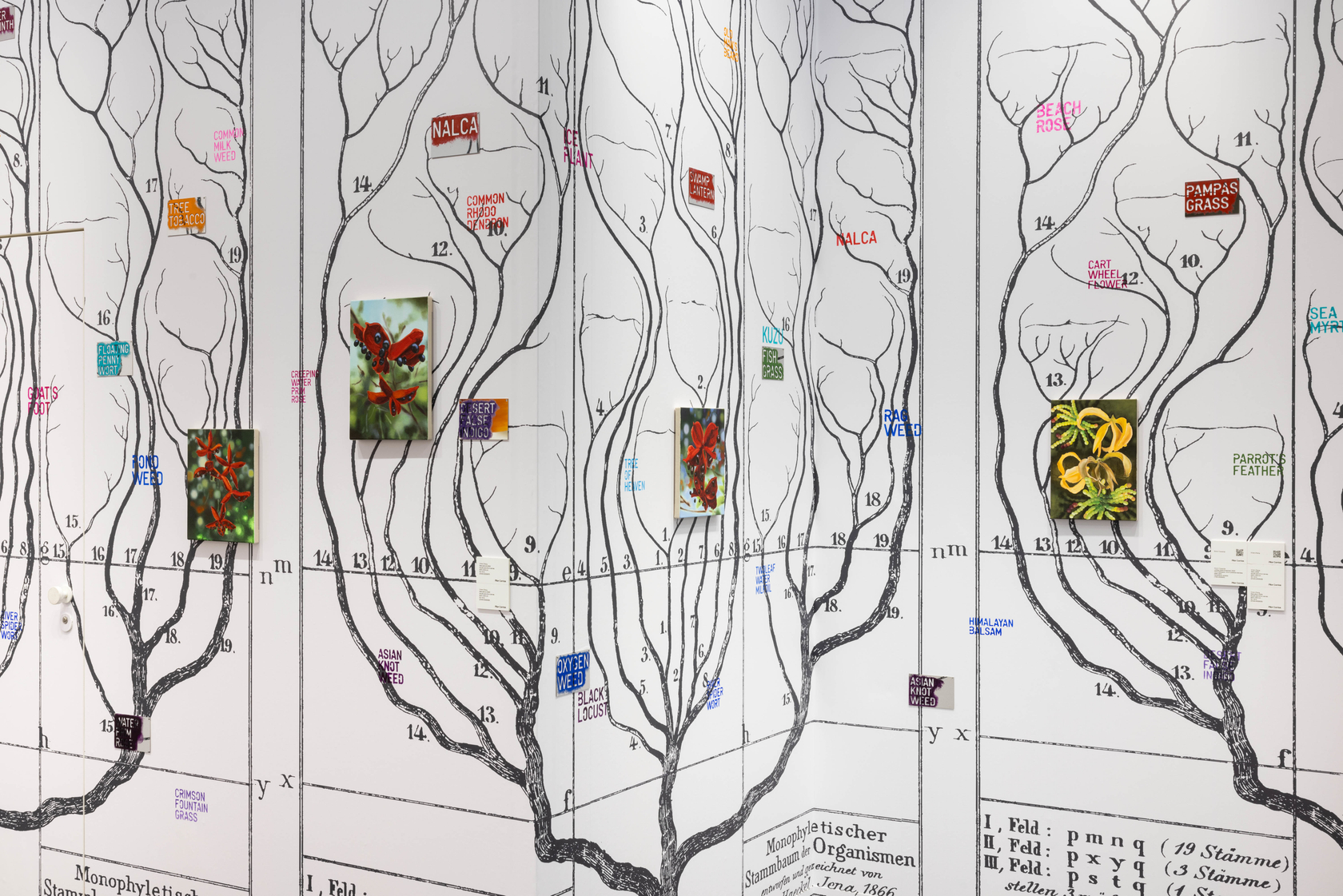 Rirkrit Tiravanija untitled 2023 (invasives)2023 Omni wallpaper, mirror-polished stainless steel, paint Dimensions variable