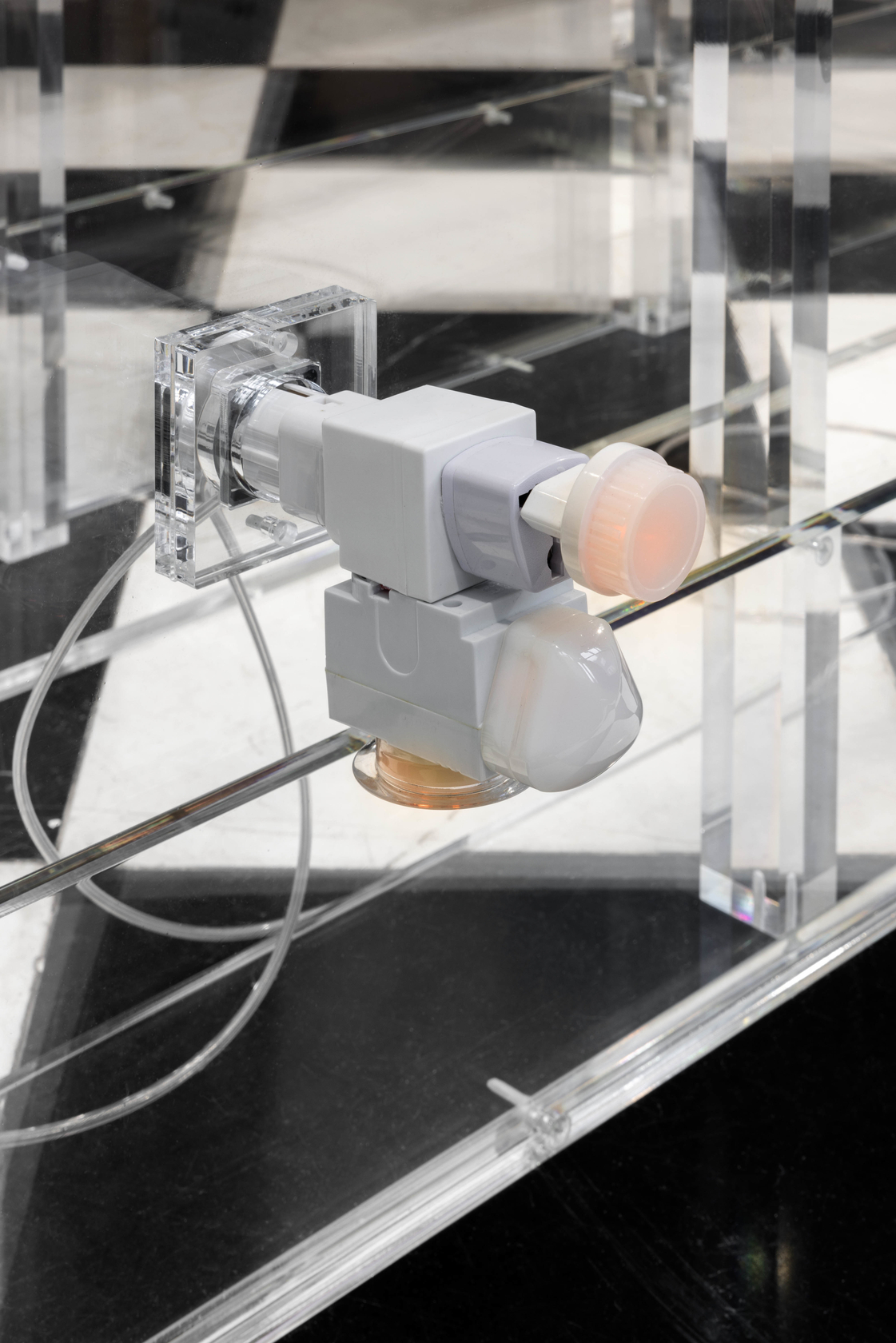 Philippe Parreno Wall For The Bride2018-2023 Perspex, AC/DC Snakes 4 modules: Width 330cm x height 252cm x depth 63cm